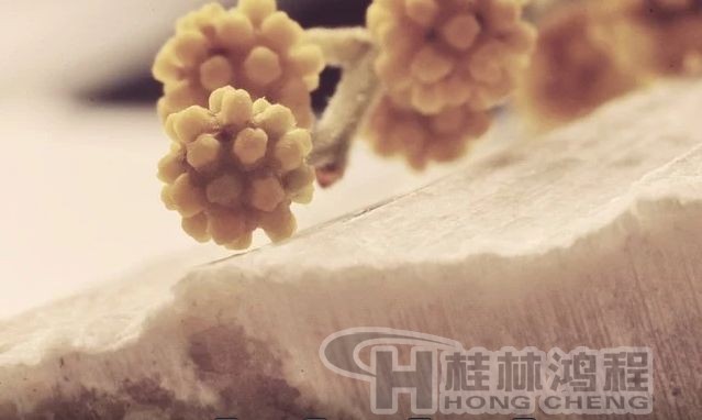 硅灰石超细粉,立磨厂家,硅灰石粉,超细硅灰石粉,硅灰石针状粉,硅灰石超细粉,塑料用硅灰石粉,超细针状硅灰石